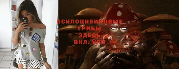метамфетамин Алексеевка