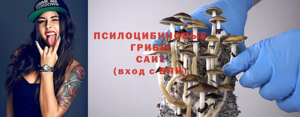 метамфетамин Алексеевка
