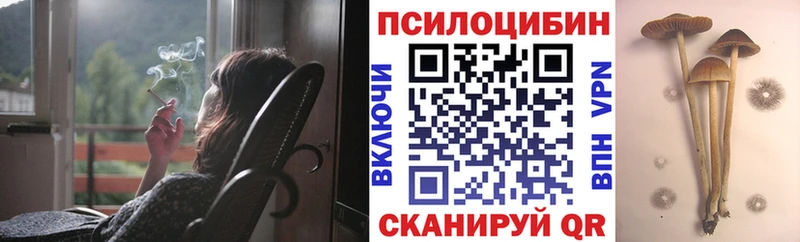 Галлюциногенные грибы мицелий  Дыгулыбгей 